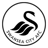 Swansea City U21 badge