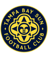 Tampa Bay Sun W badge