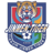 Tianjin Teda badge