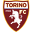 Torino badge