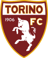 Torino U20 badge