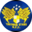 Treowen Stars badge