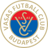 Vasas II badge