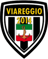 Viareggio U18 badge