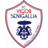 Vigor Senigallia badge