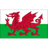 Wales badge