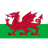 Wales U19 W badge