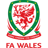 Wales U21 badge