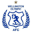 Wellington Olympic badge