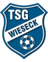 Wieseck U19 badge