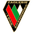 Zaglebie Sosnowiec badge