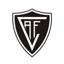 Academico Viseu