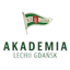 Akademia Piłkarska LG