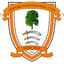 Ashford Town (Middlesex)