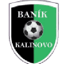 Baník Kalinovo