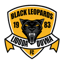 Black Leopards