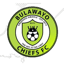 Bulawayo Chiefs