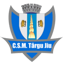CSM Targu Jiu
