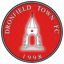 Dronfield Town