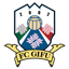 FC Gifu
