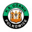 Górnik Polkowice