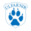 Úlfarnir