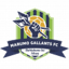 Marumo Gallants U23
