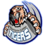 Mighty Tigers