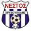 Nestos Chrisoupolis