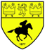 Newmarket Town