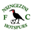Nsingizini Hotspurs