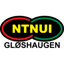 NTNUI