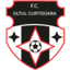 Oltul Curtişoara