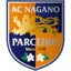 Parceiro Nagano W