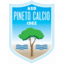 Pineto