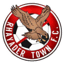 Rhayader Town