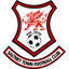 Saltney Town