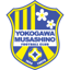 Tokyo Musashino City