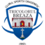 Tricolorul Breaza