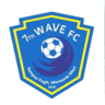 7th Wave badge