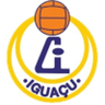 AA Iguaçu badge
