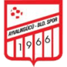 Ayvalikgucu