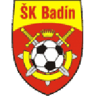 Badín