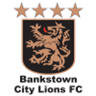 Bankstown City Lions