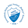 Bałtyk Koszalin badge