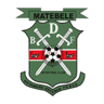 BDF XI