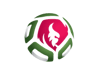 Belarus U19 W badge