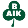 Bergnäsets