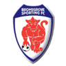 Bromsgrove Sporting