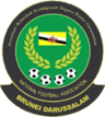 Brunei U20 badge